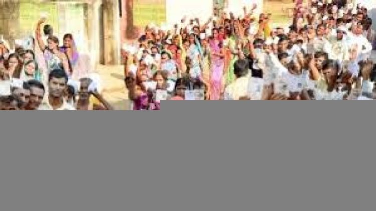 भारत को अमेरिकी पिकलबॉल प्रतियोगिता में 10 पदक