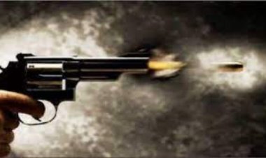 मेक्सिको शहर के दक्षिणी हिस्से में गोलीबारी में आठ लोगों की मौत