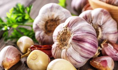 लहसुन के ये 5 उपाय जीवन को सुख समृद्धि से भर देंगे , खुल जाएगा सोई किस्मत का ताला