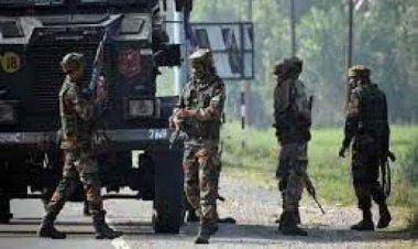 राजकोट अग्निकांड : नगर निगम को हाईकोर्ट की फटकार, कहा-तीन साल से क्या कर रहे थे आप