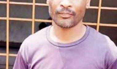 हत्या के आरोपी को उम्र कैद