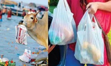 सिंगल यूज प्लास्टिक पर लगे प्रतिबंध