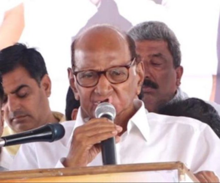 नीतीश कुमार और चंद्रबाबू नायडू से कोई बातचीत नहीं हुई : शरद पवार