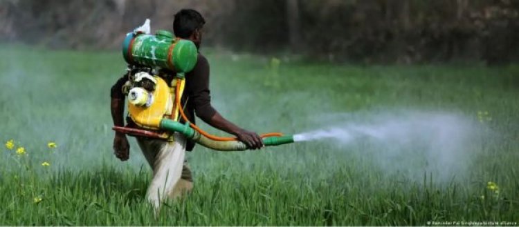 बदलते मौसम के खिलाफ नई किस्में आजमा रहे हैं भारतीय किसान