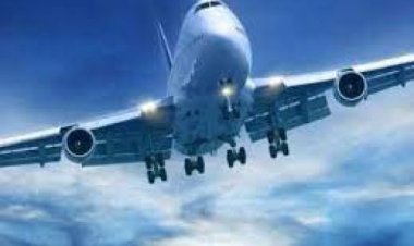 लॉस एंजिलिस से उड़ान भरने के बाद विमान का पहिया निकला