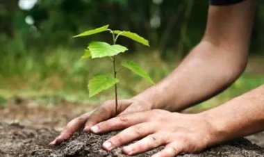 बिलासपुर के लिए एक और बेहतर कदम उठाए हम, एक पेड़ मां अरपा के नाम पर अवश्य लगाए