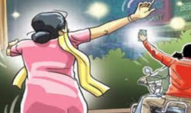 चोरों के बुलंद हौसले, महिला से मोबाइल झपटने की कोशिश सीसीटीवी कैमरे में हुई कैद