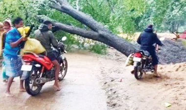 गिरा पेड़, खंभा क्षतिग्रस्त, आवागमन बाधित