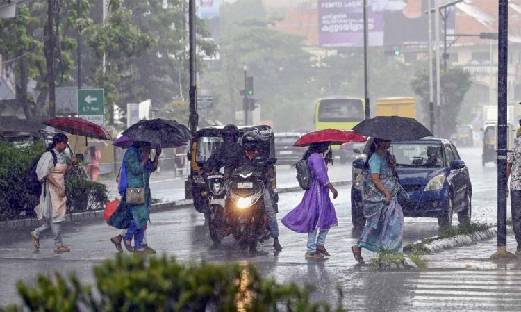 केरल में जोरदार भारी बारिश में खेत लबालब, कई जगह लैंडस्लाइड, 300 घर तबाह, IMD ने आज भी किया अलर्ट
