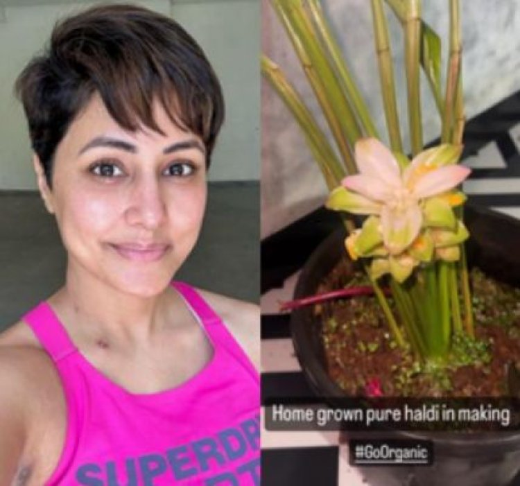 कैंसर से जूझ रहीं हिना खान घर पर कर रही गार्डनिंग, इंस्टा पर शेयर किया