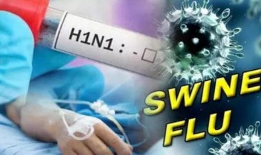 स्वाइन फ्लू से एक और मरीज की मौत, प्रदेश में अब तक 3 लोगों की गई जान, अलर्ट मोड पर स्वास्थ्य विभाग