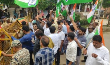 गौवंशीय पशुओं की सुरक्षा का दावा करने वाली भाजपा सरकार विफल- कांग्रेस