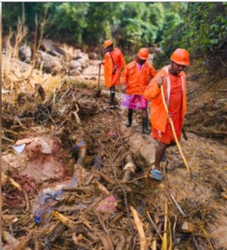 वायनाड भूस्खलन में मृतकों की संख्या बढ़कर 413, लापता 152 लोगों की तलाश जारी