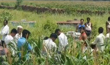 श्मशान की भूमि पर मक्के की फसल:अंतिम संस्कार के लिए भी जमीन तलाशना मुश्किल, ग्रामीणों की शिकायत पर सीईओ ने दिया कार्रवाई का भरोसा