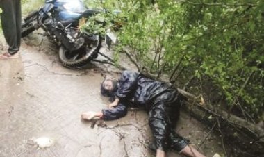 युवक पर गिरा पेड़, मौत