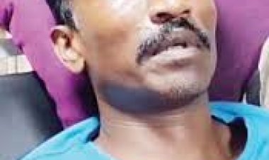 बस्तर दशहरा के लिए रथ बनाते लकड़ी गिरा