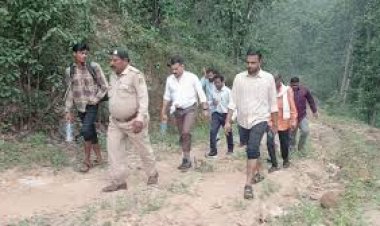 कलेक्टर प्रशासनिक अमले सहित पैदल पहुंचे घटोन गांव