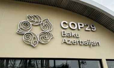 कॉप29 सम्मेलन में अमीर देशों पर होगा दबाव