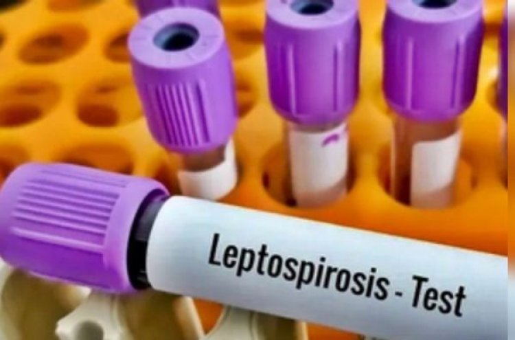 फिलीपींस में लगातार बढ़ रहे लेप्टोस्पायरोसिस के मामले