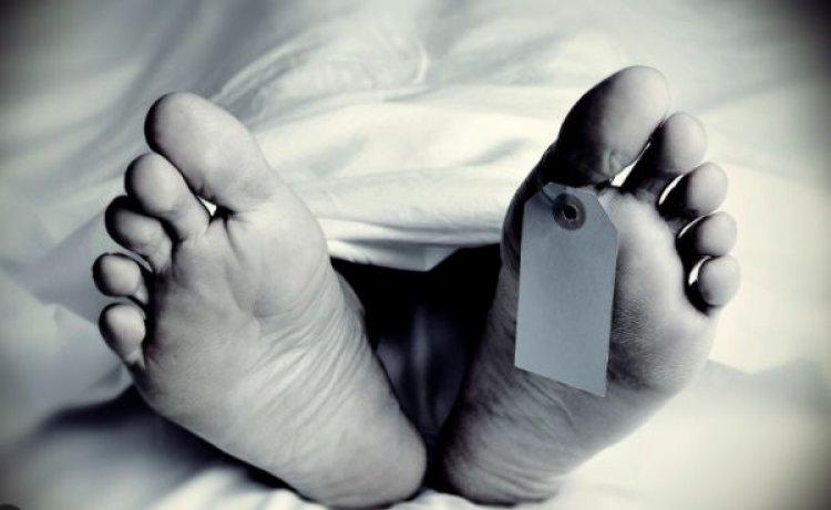 हरियाणा पीट-पीट कर हत्या: प्रवासी मजदूर के घर से लिया गया मांस का नमूना गोमांस नहीं