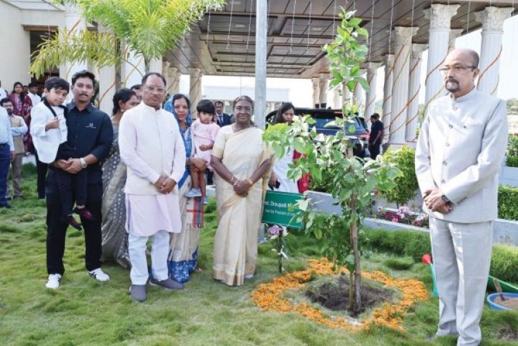दोपहर भोज पर सीएम हाउस गईं राष्ट्रपति मुर्मु ने रोपा बेल का पौधा