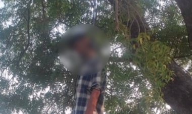 दतिया में युवक ने की आत्महत्या:घर के सामने पेड़ से फंदा बनाकर लगाई फांसी; शराब पीने था आदी