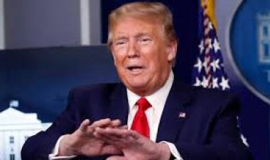 अमेरिका राष्ट्रपति चुनाव : शुरुआती मतगणना में कमला हैरिस से आगे हैं ट्रंप