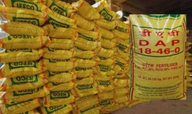 नगर घुवारा में DAP खाद की कालाबाज़ारी से ग्रामीण किसान परेशान
