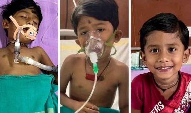 छत्तीसगढ़-रायगढ़ में करैत के डसने से मरणासन्न हुआ मानविक, डॉक्टरों ने बचाई जान