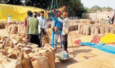 धान खरीदी शुरू, पहले दिन 30 केंद्रों में बोहनी नहीं