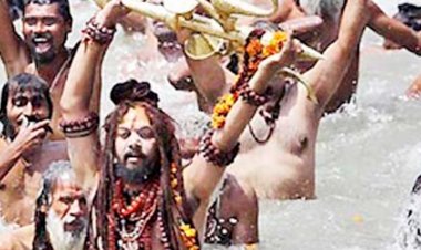 उज्जैन के अधिकारी करेंगे प्रयागराज कुम्भ में व्यवस्थाओं की स्टडी:सिंहस्थ की तैयारी के लिए कलेक्टर-एसपी सहित सभी प्रमुख अधिकारी जाएंगे