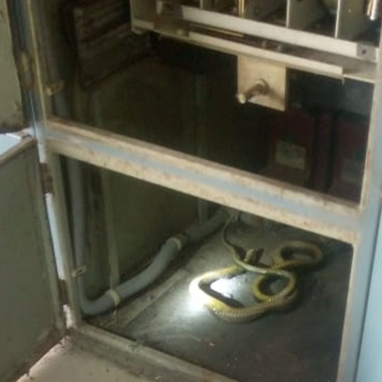 उज्जैन शहर में सोमवार को पानी सप्लाई नहीं होगा:गंभीर इंटेक वेल के पैनल रूम में सांप घुसने से फॉल्ट, मरम्मत जारी