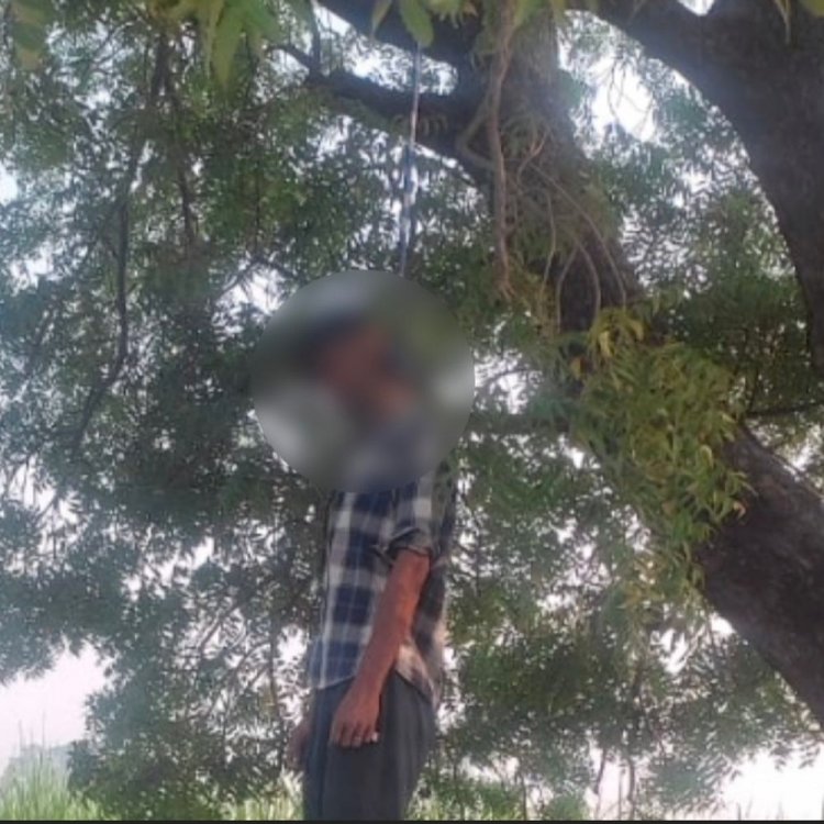 दतिया में युवक ने की आत्महत्या:घर के सामने पेड़ से फंदा बनाकर लगाई फांसी; शराब पीने था आदी
