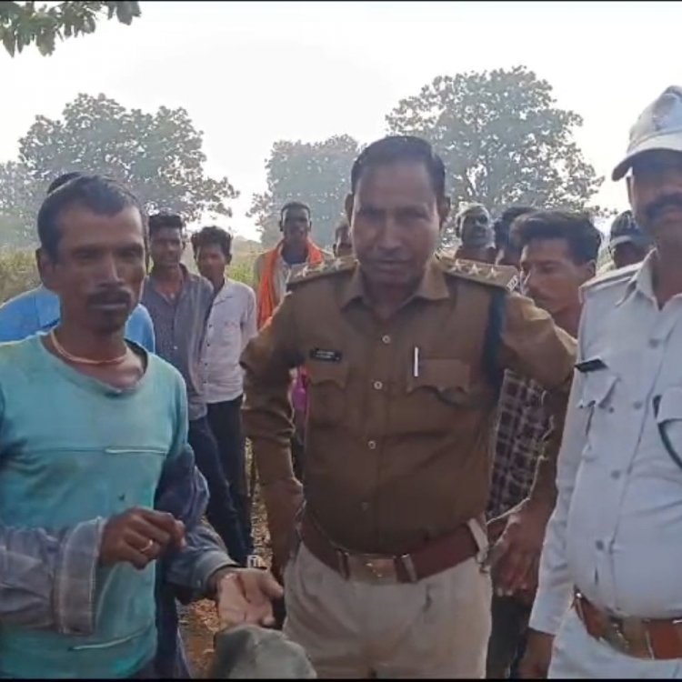 खेत में पानी दे रहे किसान पर तेंदुए का हमला:बफरक्षेत्र के अधिकारी मौके पर पहुंचे, मडियादो के भूलखेड़ा गांव का मामला