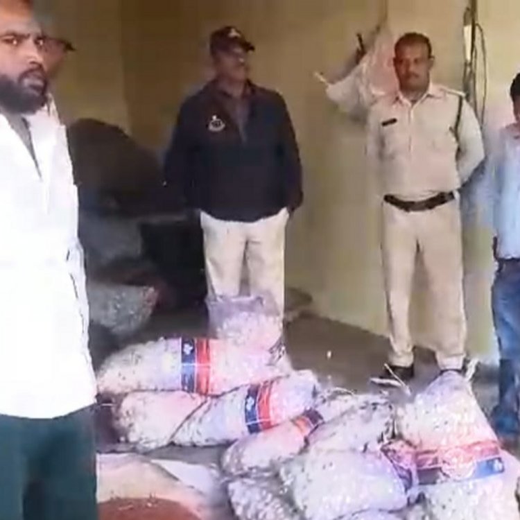 जबलपुर कृषि उपज मंडी से 2 क्विंटल चाइना लहसुन जब्त:बाबू सलाम एंड कंपनी पर खाद्य विभाग का छापा,14 बोरियों में मिले लहसुन की कीमत डेढ़ लाख रुपए