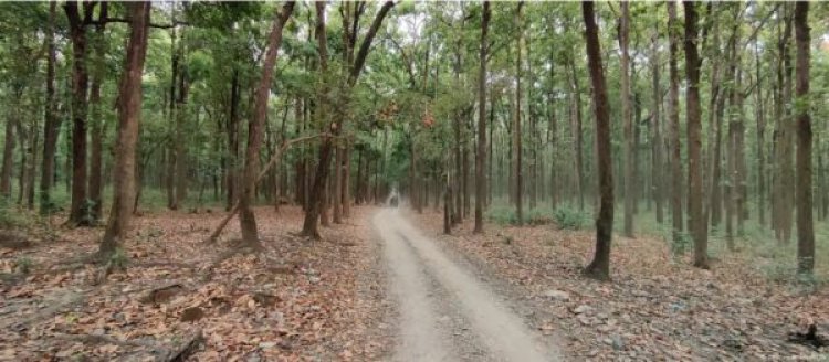 निगरानी की तकनीकों से परेशान की जा रही हैं महिलाएं - शोध