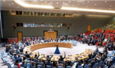 पाकिस्तान 2025 में सुरक्षा परिषद में होगा शामिल ; क्या हैं इसके मायने?