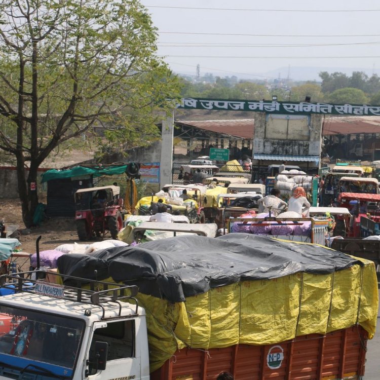 सीहोर में बारिश के चलते धान की खरीदी बंद:2 जनवरी से शुरू होगी; बुक स्लॉट की तारीख भी बढ़ाई, अब 23 तक होगी खरीदी