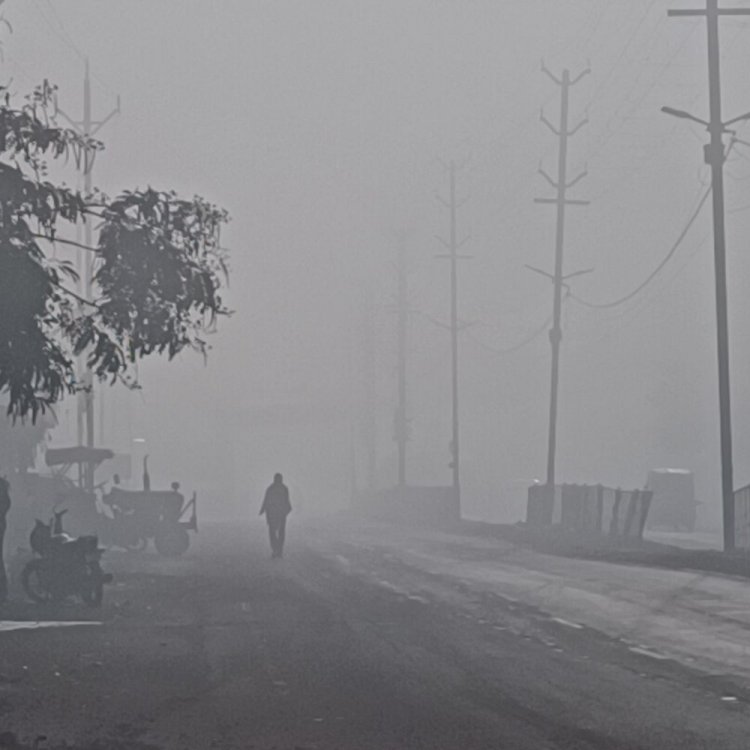 अशोकनगर में बादल छटते ही बढ़ी ठंड:तापमान 6 डिग्री तक लुढ़का, सुबह 3 घंटे छाया रहा कोहरा