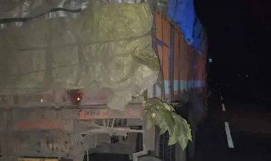 छत्तीसगढ़-जशपुर में नए साल का जश्न मनाने निकले तीन युवाओं की सड़क हादसे में मौत, एक गंभीर घायल