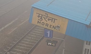 मुरैना में सीजन का सबसे अधिक कोहरा:कृषि वैज्ञानिकों के अनुसार गेहूं और सरसों की फसल के लिए लाभदायक, न्यूनतम तापमान 8 डिग्री दर्ज