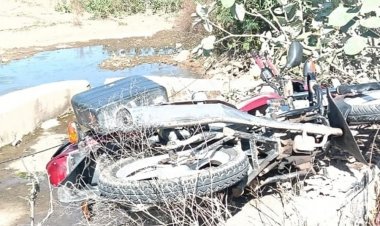 सतना में हादसे में पीडब्ल्यूडी कर्मचारी की मौत:पुलिया से 20 फीट नीचे गिरी बाइक, मवेशी को बचाने में दुर्घटना