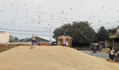 किसानों के लिए गेहूं खरीदी का पंजीयन सरल:ग्राम पंचायत से लेकर साइबर कैफे तक कर सकेंगे रजिस्ट्रेशन, 50 रुपए तक शुल्क