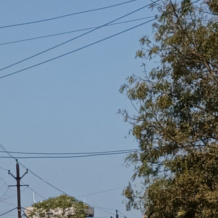 मौसम साफ होते ही 4 डिग्री पर पहुंचा न्यूनतम पारा:दिन में धूप से राहत; 21 पर रहेगा अधिकतम तापमान