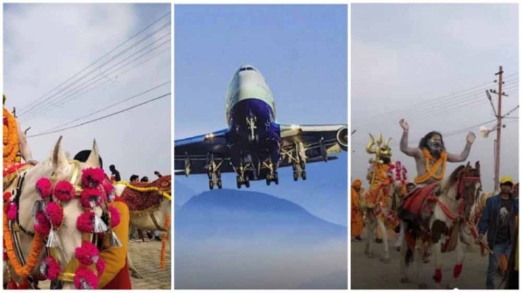 प्रयागराज महाकुंभ के लिए इंदौर से हर शनिवार फ्लाइट, 4.5 हजार की टिकट के दाम हुए 20 हजार, बुकिंग शुरू हुई