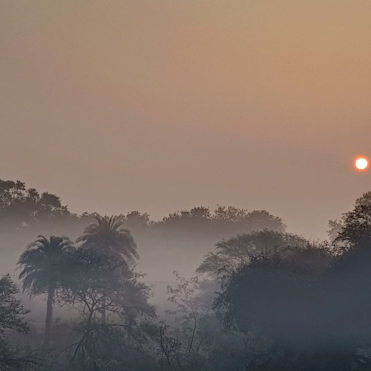अशोकनगर में मौसम साफ, कड़ाके की ठंड का असर:दो दिन में तापमान 5.5 डिग्री गिरा; अलाव का सहारा ले रहे लोग