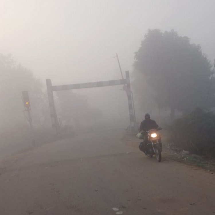 नर्मदापुरम में 1.6 डिग्री तापमान गिरने से ठिठुरन:ग्रामीण अंचल में सुबह छाया रहा घना कोहरा; दिन में तेज धूप से राहत