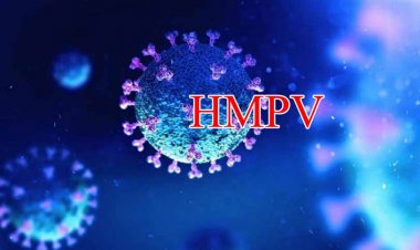 छत्तीसगढ़ में HMPV वायरस ने दे दी दस्तक,  तीन साल के बच्चे की रिपोर्ट पॉजिटिव, स्वास्थ्य विभाग में हड़कंप