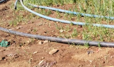 धार में बढ़ सकता है पेयजल संकट:तालाबों से अवैध पाइपलाइन बिछाकर हो रही पानी की चोरी, नपा ने पुलिस से मांगी मदद