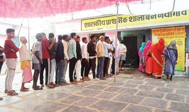 जनपद पंचायत छुरिया में  85.34 फीसदी मतदान